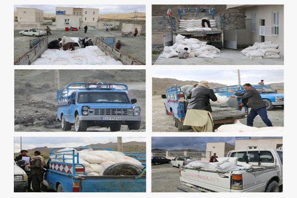 Ashraf Al-Anbia (PBUH) Charity with the support of its benefactors distributed 23 tons (twenty-three thousand kg) of white flour