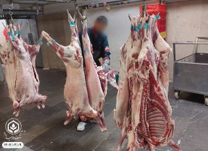  - موسسه خیریه اشرف الانبیاء (ص)